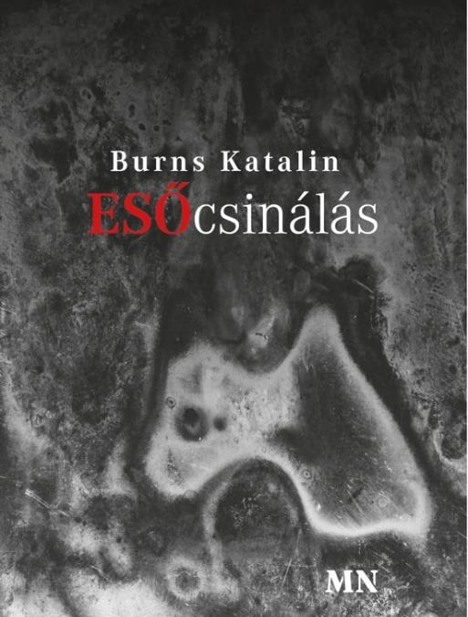Burns Katalin: Esőcsinálás