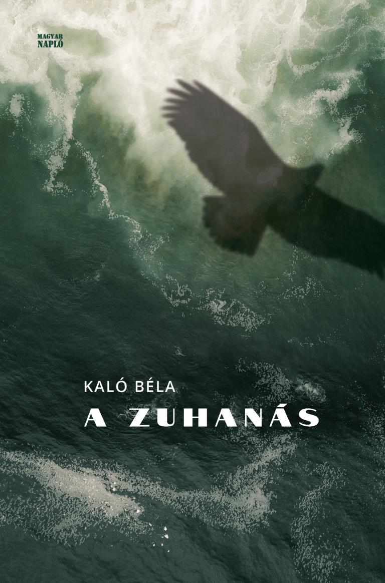 Kaló Béla: A zuhanás