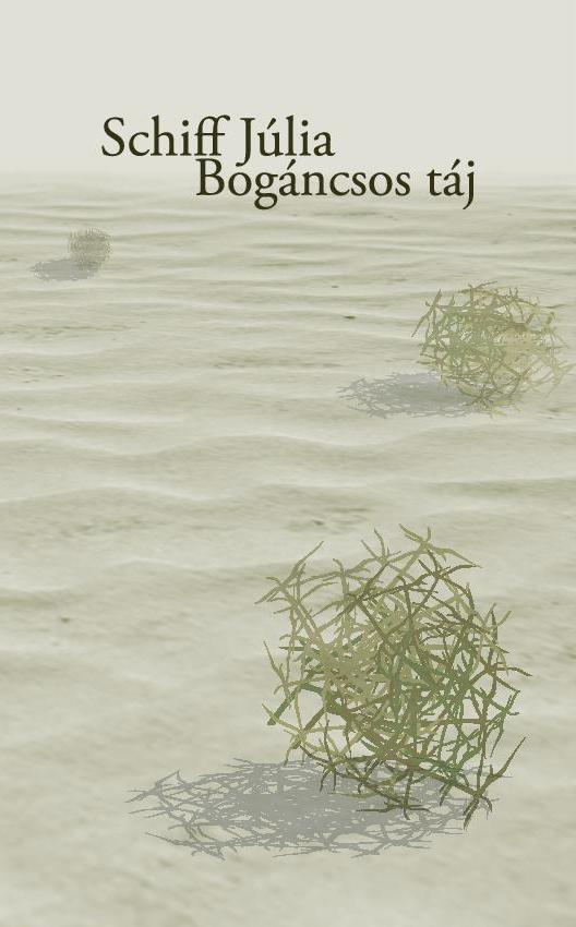 Schiff Júlia: Bogáncsos táj